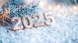 PF2025